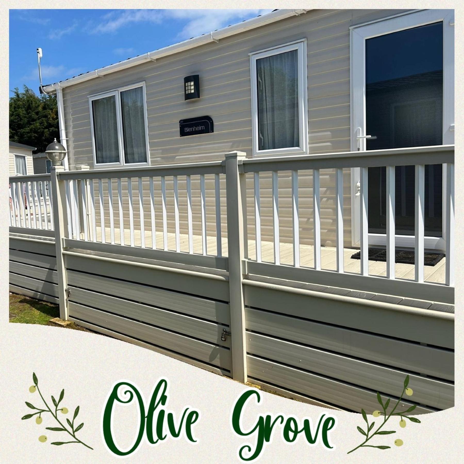 מלון בירצ'ינגטון Olive-Grove מראה חיצוני תמונה